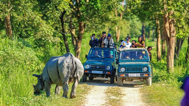 Kaziranga National Park Caravan Tour