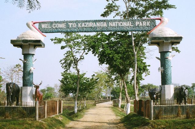 Manas National Park - The Road to Woods Caravan Tour