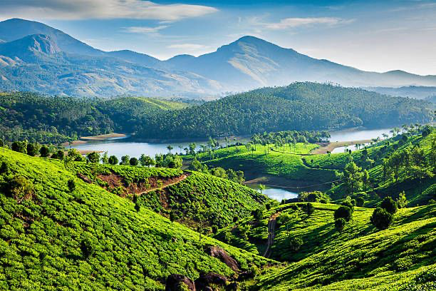Serene Kerala: Munnar & Alleppey Getaway