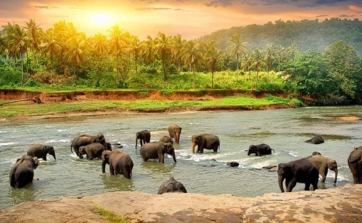 Grand Kerala: Hills, Backwaters & Beaches