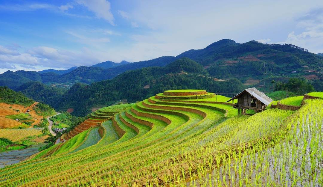 Vietnam Essence: From Hanoi to Ho Chi Minh